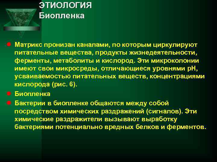 ЭТИОЛОГИЯ Биопленка l Матрикс пронизан каналами, по которым циркулируют питательные вещества, продукты жизнедеятельности, ферменты,