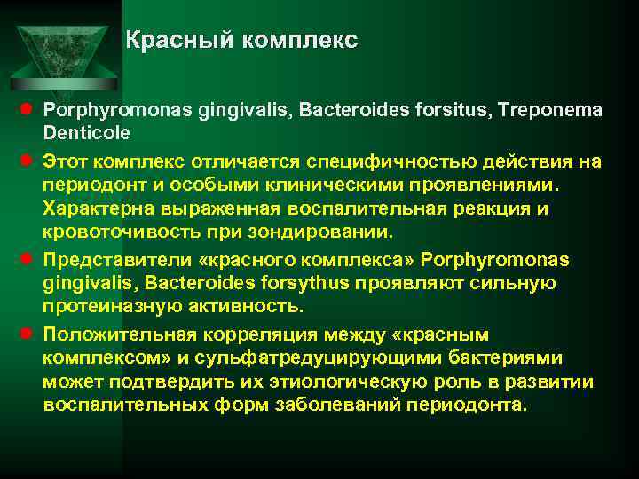 Красный комплекс l Porphyromonas gingivalis, Bacteroides forsitus, Treponema Denticole l Этот комплекс отличается специфичностью