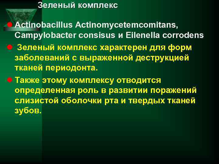 Зеленый комплекс l Actinobacillus Actinomycetemcomitans, Campylobacter consisus и Eilenella corrodens l Зеленый комплекс характерен