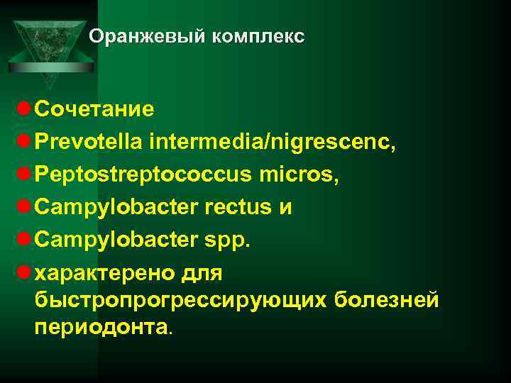 Оранжевый комплекс l Сочетание l Prevotella intermedia/nigrescenc, l Peptostreptococcus micros, l Campylobacter rectus и