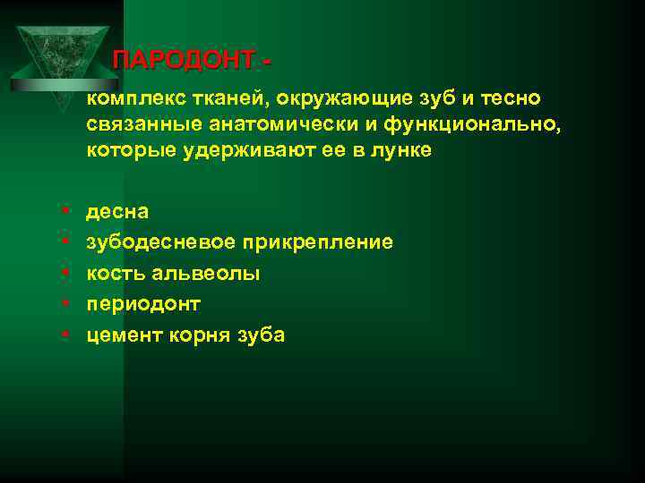 ПАРОДОНТ - комплекс тканей, окружающие зуб и тесно связанные анатомически и функционально, которые удерживают