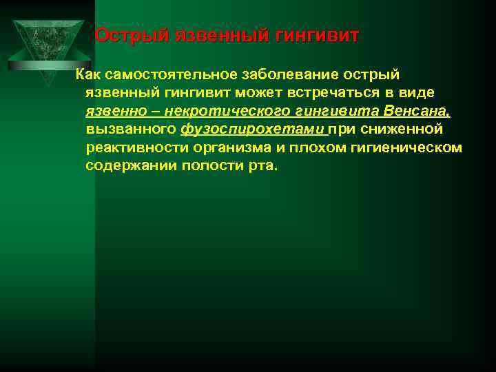 Острый язвенный гингивит Как самостоятельное заболевание острый язвенный гингивит может встречаться в виде язвенно