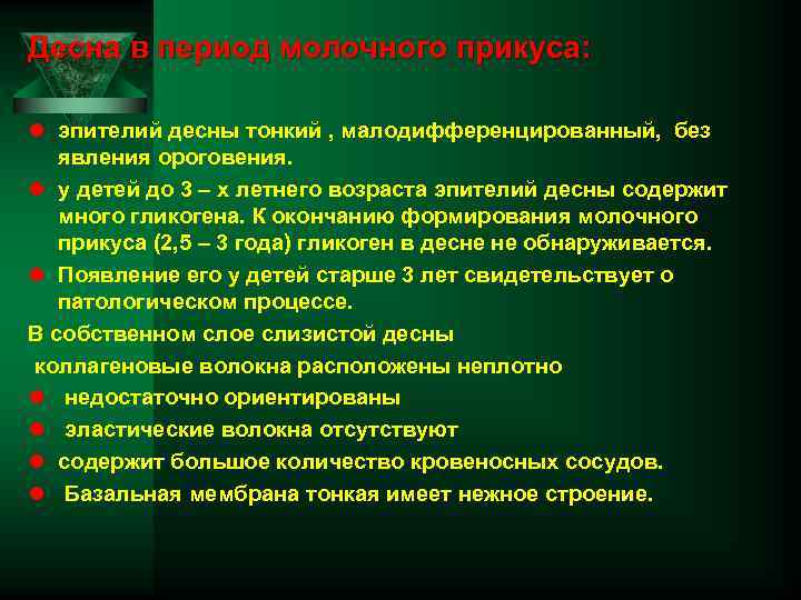 Десна в период молочного прикуса: l эпителий десны тонкий , малодифференцированный, без явления ороговения.