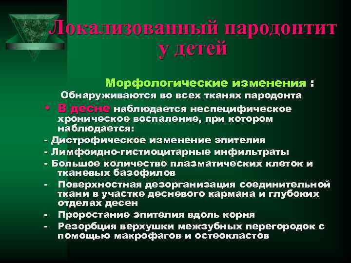 Локализованный пародонтит у детей Морфологические изменения : Обнаруживаются во всех тканях пародонта • В