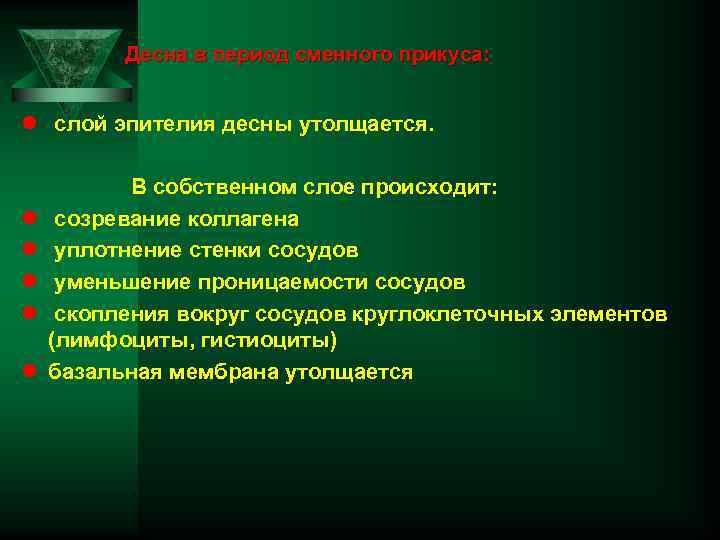 Десна в период сменного прикуса: l слой эпителия десны утолщается. В собственном слое происходит: