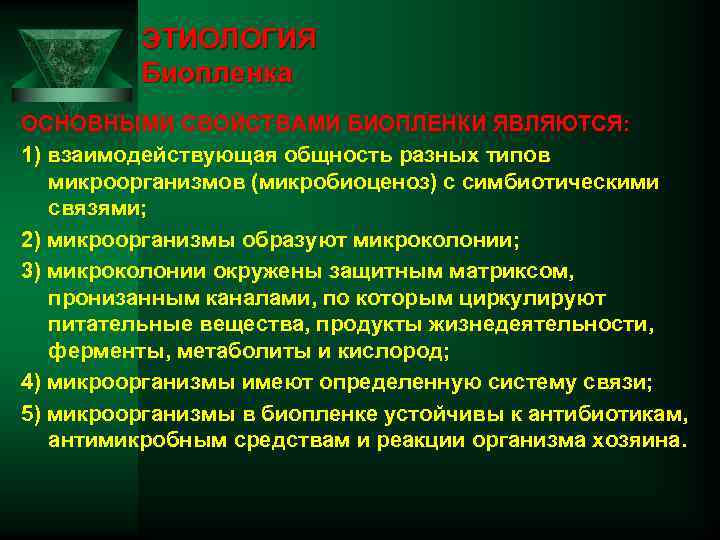 ЭТИОЛОГИЯ Биопленка ОСНОВНЫМИ СВОЙСТВАМИ БИОПЛЕНКИ ЯВЛЯЮТСЯ: 1) взаимодействующая общность разных типов микроорганизмов (микробиоценоз) с