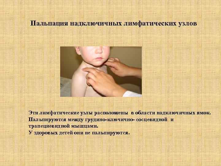 Пальпация надключичных лимфатических узлов Эти лимфатические узлы расположены в области надключичных ямок. Пальпируются между