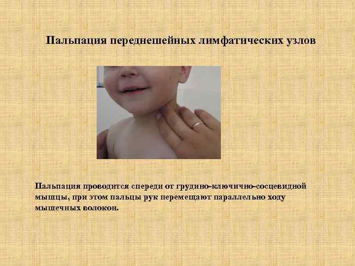 Пальпация переднешейных лимфатических узлов Пальпация проводится спереди от грудино-ключично-сосцевидной мышцы, при этом пальцы рук