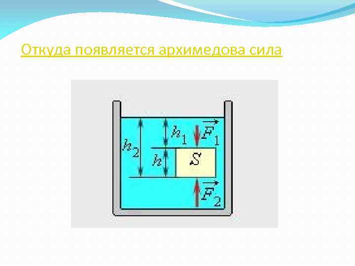 Откуда появляется архимедова сила 