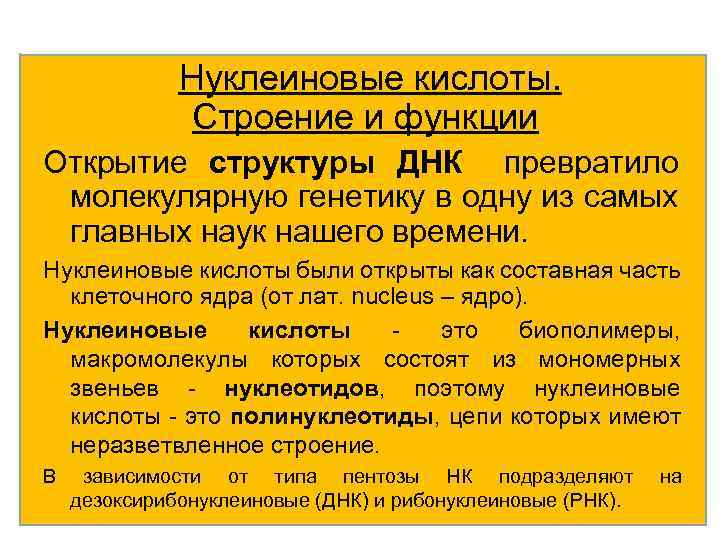 Нуклеиновые кислоты. Строение и функции Открытие структуры ДНК превратило молекулярную генетику в одну из