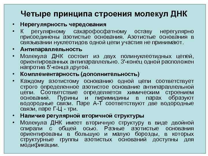 Четыре принципа строения молекул ДНК • Нерегулярность чередования • К регулярному сахарофосфатному оставу нерегулярно