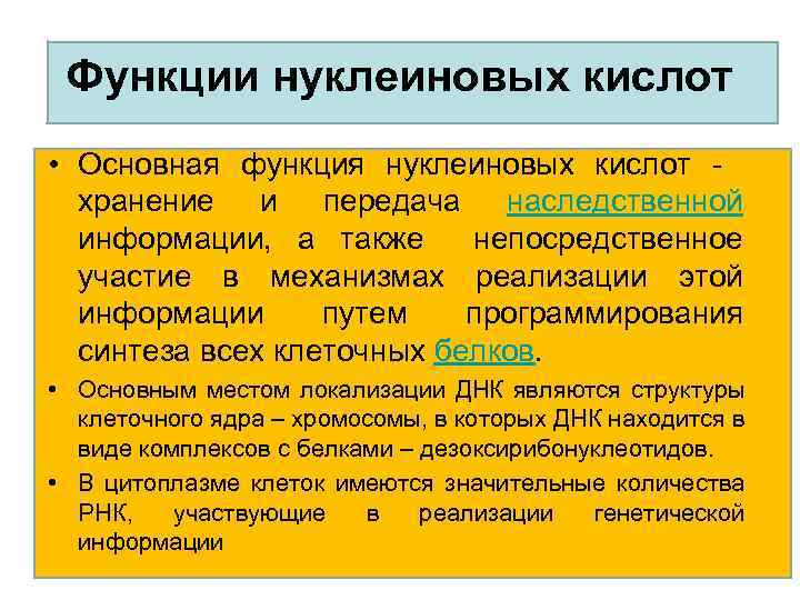 Функции нуклеиновых кислот • Основная функция нуклеиновых кислот - хранение и передача наследственной информации,