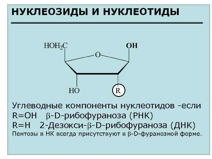 НУКЛЕОЗИДЫ И НУКЛЕОТИДЫ Углеводные компоненты нуклеотидов -если R=OH -D-рибофураноза (РНК) R=H 2 -Дезокси- -D-рибофураноза