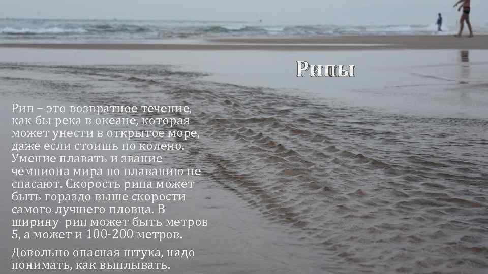 Рипы Рип – это возвратное течение, как бы река в океане, которая может унести
