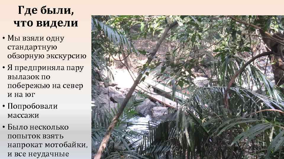 Где были, что видели • Мы взяли одну стандартную обзорную экскурсию • Я предприняла