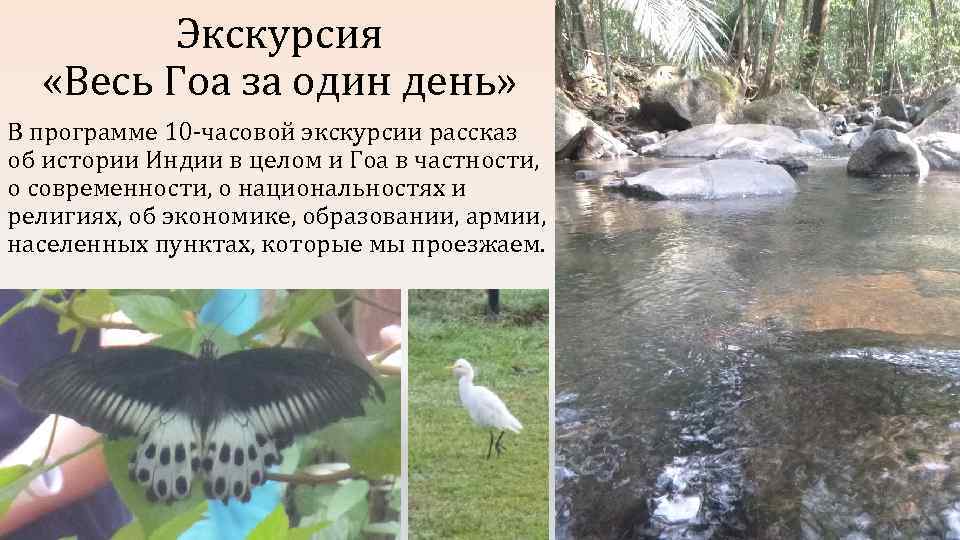 Экскурсия «Весь Гоа за один день» В программе 10 -часовой экскурсии рассказ об истории