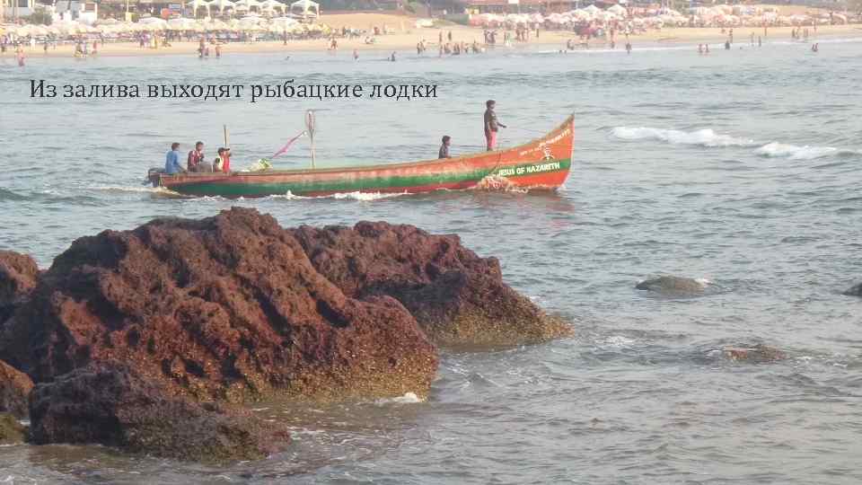 Из залива выходят рыбацкие лодки 