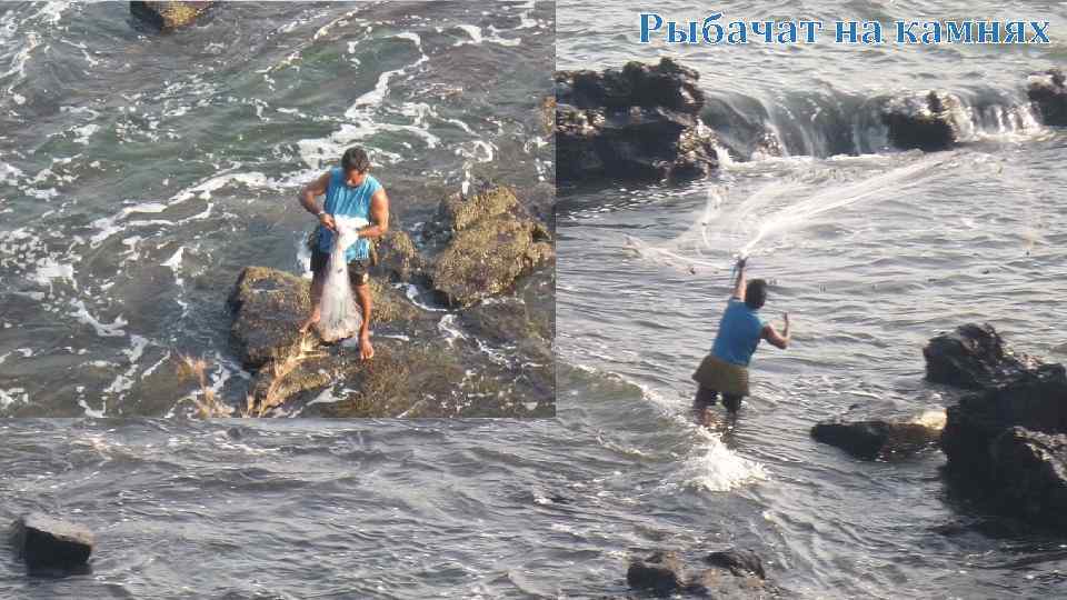 Рыбачат на камнях 