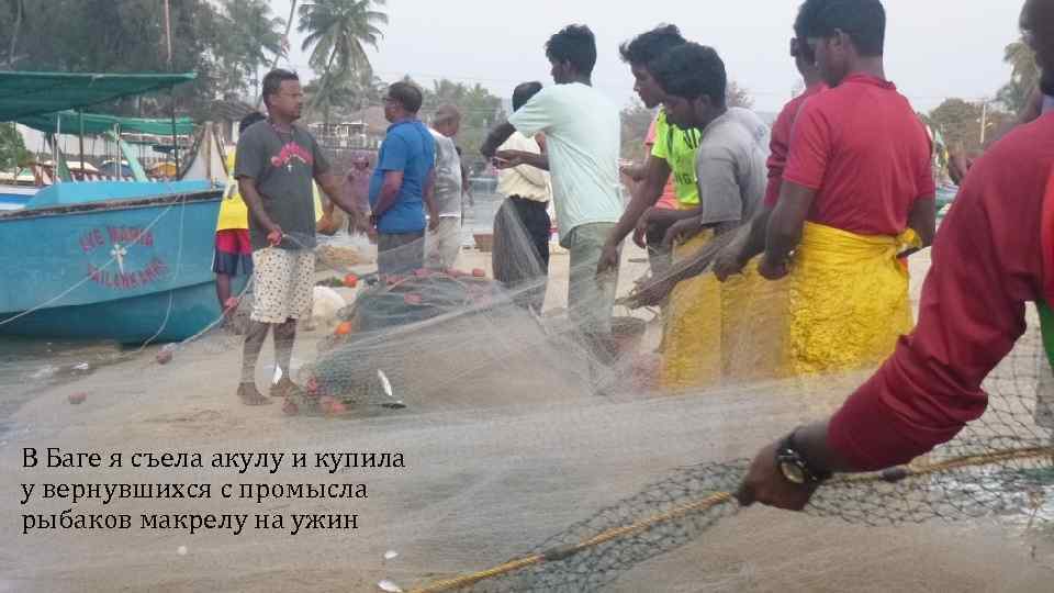 В Баге я съела акулу и купила у вернувшихся с промысла рыбаков макрелу на