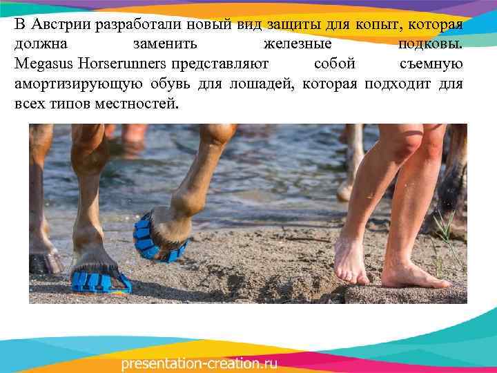 В Австрии разработали новый вид защиты для копыт, которая должна заменить железные подковы. Megasus