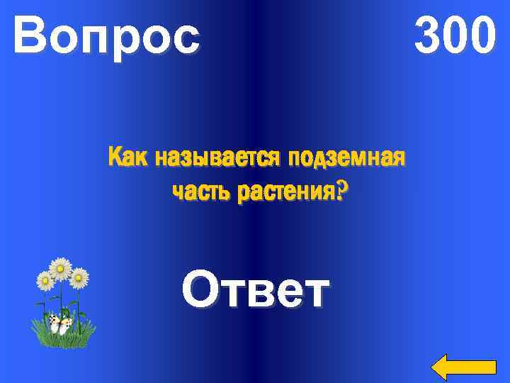 Вопрос Как называется подземная часть растения? Ответ 300 