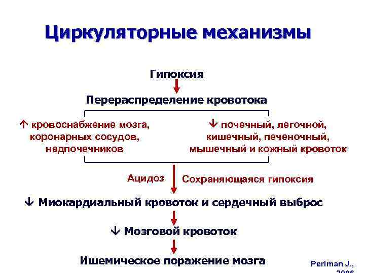 Циркуляторные механизмы Гипоксия Перераспределение кровотока кровоснабжение мозга, коронарных сосудов, надпочечников Ацидоз почечный, легочной, кишечный,