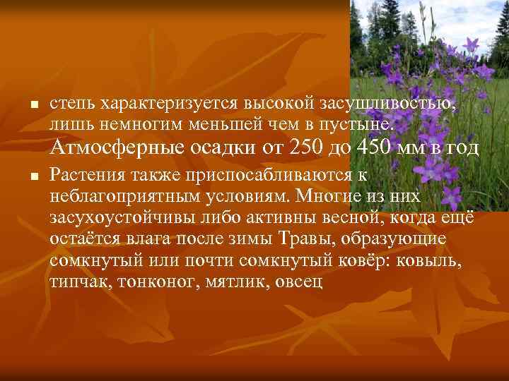 n степь характеризуется высокой засушливостью, лишь немногим меньшей чем в пустыне. Атмосферные осадки от