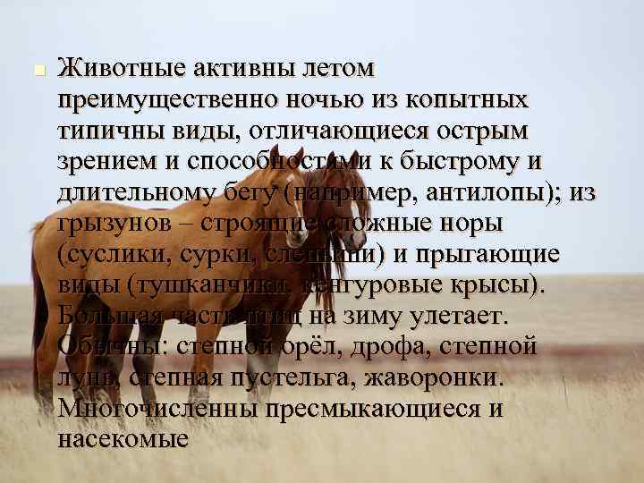 n Животные активны летом преимущественно ночью из копытных типичны виды, отличающиеся острым зрением и