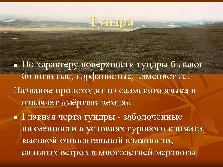 Тундра По характеру поверхности тундры бывают болотистые, торфянистые, каменистые. Название происходит из саамского языка