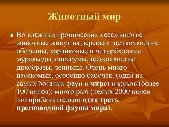 Животный мир n Во влажных тропических лесах многие животные живут на деревьях цепкохвостые обезьяны,