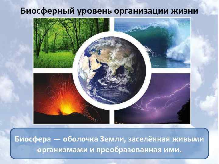 Молекулярный уровень организации живой материи значение и роль в природе презентация 11 класс