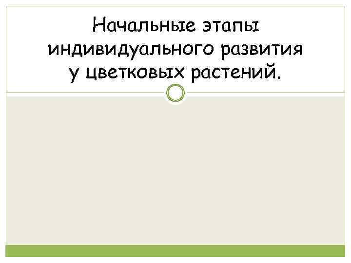 Начальные этапы индивидуального развития у цветковых растений. 