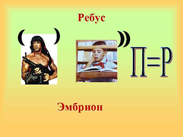 Ребус Эмбрион 
