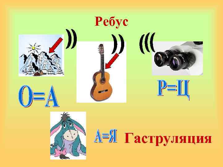 Ребус Гаструляция 