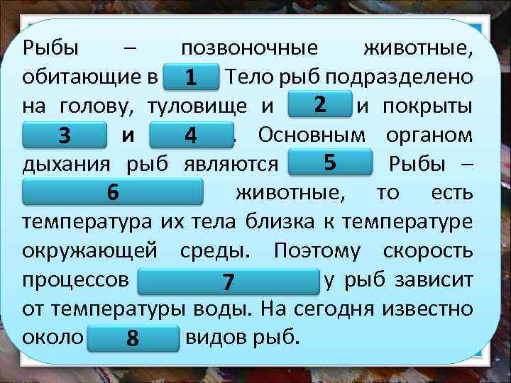 Рыбы – позвоночные животные, обитающие в воде. Тело рыб подразделено 1 2 на голову,