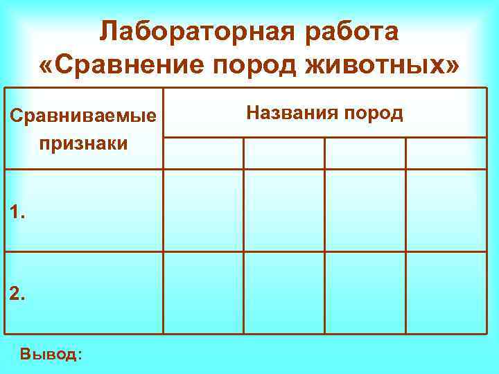 Лабораторная работа «Сравнение пород животных» Сравниваемые признаки 1. 2. Вывод: Названия пород 