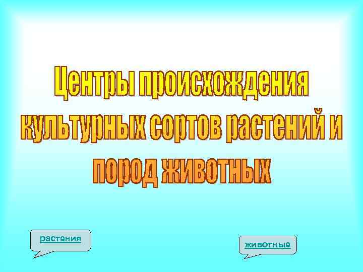 растения животные 