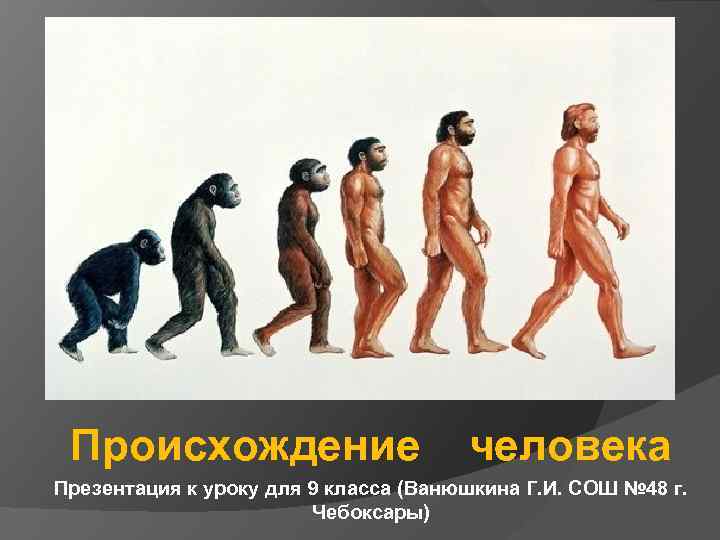 Происхождение человека Презентация к уроку для 9 класса (Ванюшкина Г. И. СОШ № 48