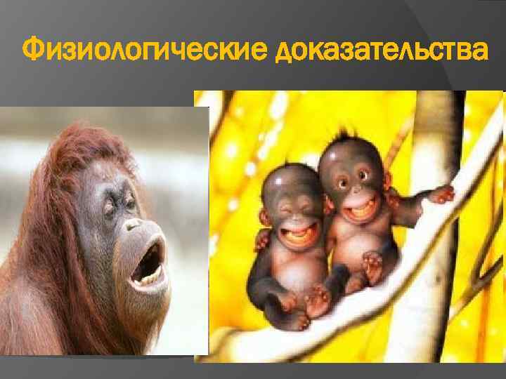 Физиологические доказательства 