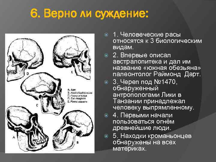 6. Верно ли суждение: 1. Человеческие расы относятся к 3 биологическим видам. 2. Впервые