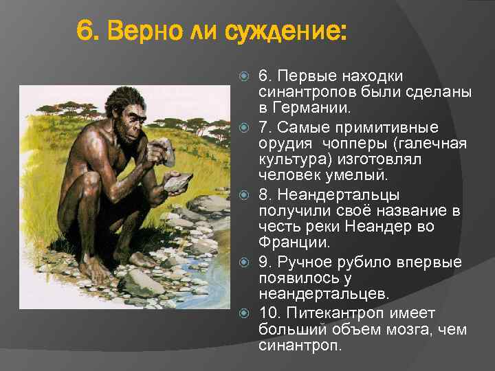 6. Верно ли суждение: 6. Первые находки синантропов были сделаны в Германии. 7. Самые