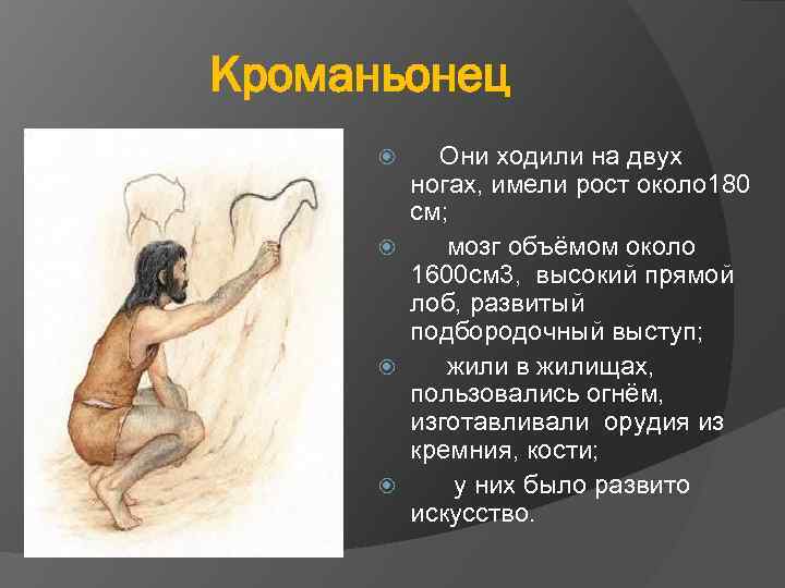 Кроманьонец Они ходили на двух ногах, имели рост около 180 см; мозг объёмом около