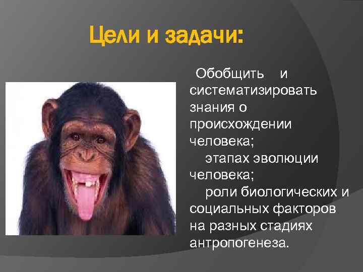 Цели и задачи: Обобщить и систематизировать знания о происхождении человека; этапах эволюции человека; роли
