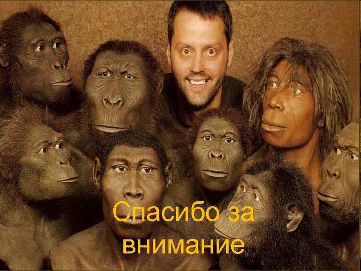 Спасибо за внимание 