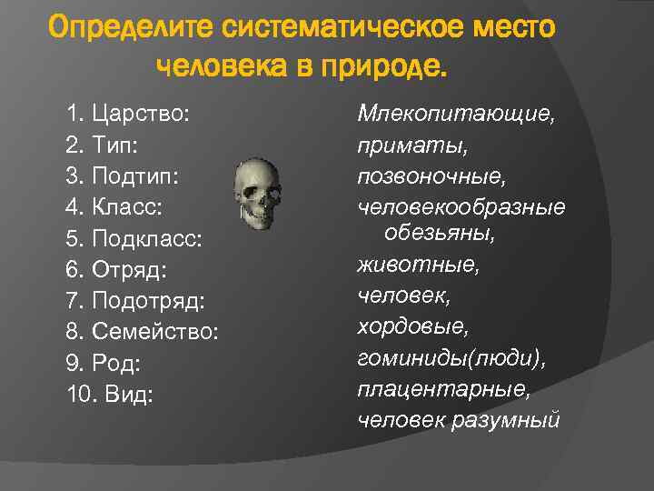 Определите систематическое место человека в природе. 1. Царство: 2. Тип: 3. Подтип: 4. Класс: