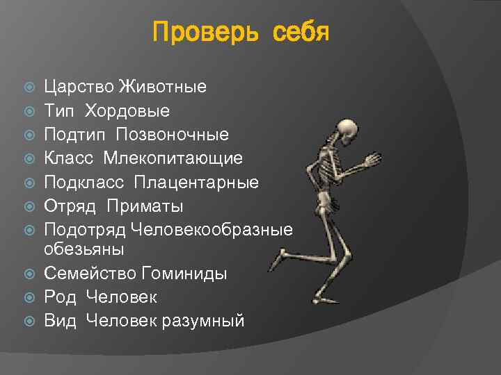Проверь себя Царство Животные Тип Хордовые Подтип Позвоночные Класс Млекопитающие Подкласс Плацентарные Отряд Приматы
