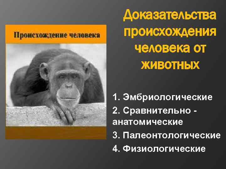 Доказательства происхождения человека от животных 1. Эмбриологические 2. Сравнительно анатомические 3. Палеонтологические 4. Физиологические