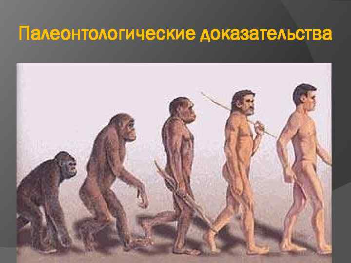 Палеонтологические доказательства 