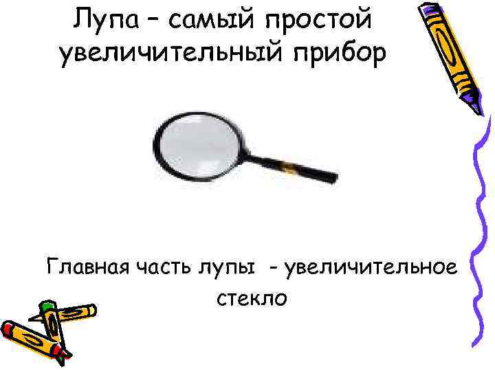 Лупа – самый простой увеличительный прибор Главная часть лупы - увеличительное стекло 