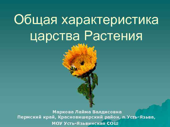 Общая характеристика царства Растения Маркова Лайма Валдисовна Пермский край, Красновишерский район, п. Усть-Язьва, МОУ